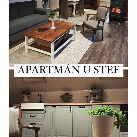 Apartman U Stef Borotice 外观 照片