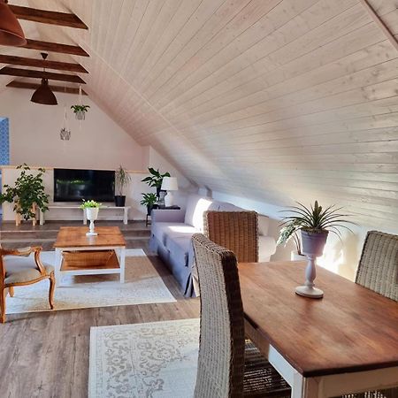 Apartman U Stef Borotice 外观 照片