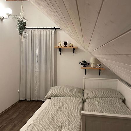 Apartman U Stef Borotice 外观 照片