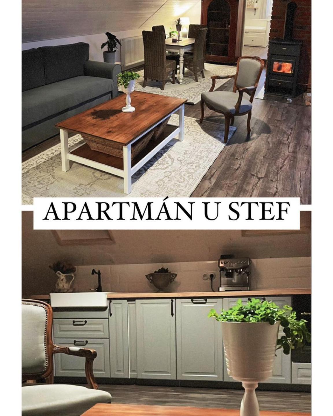 Apartman U Stef Borotice 外观 照片