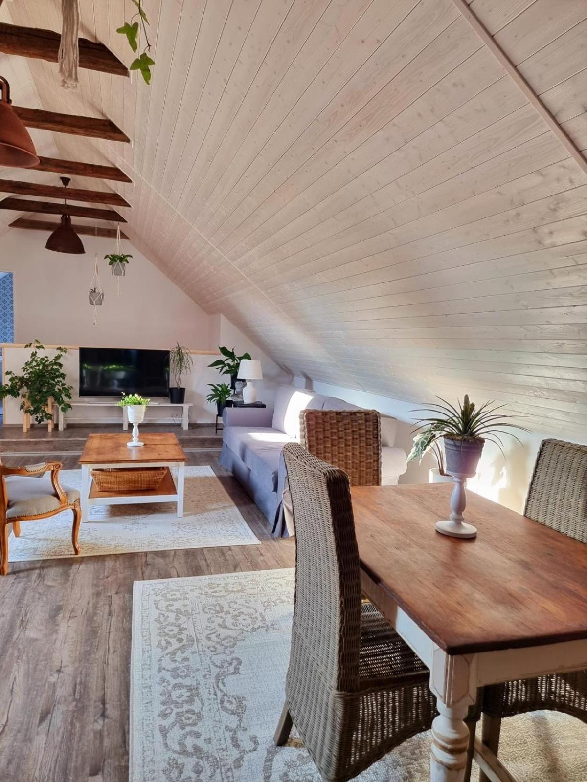 Apartman U Stef Borotice 外观 照片