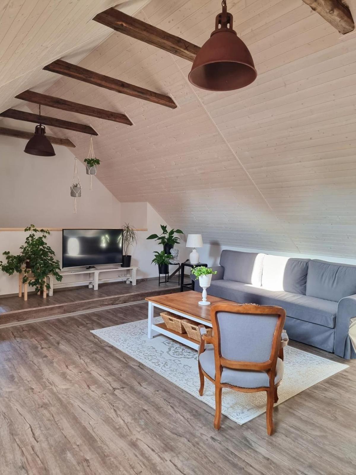 Apartman U Stef Borotice 外观 照片