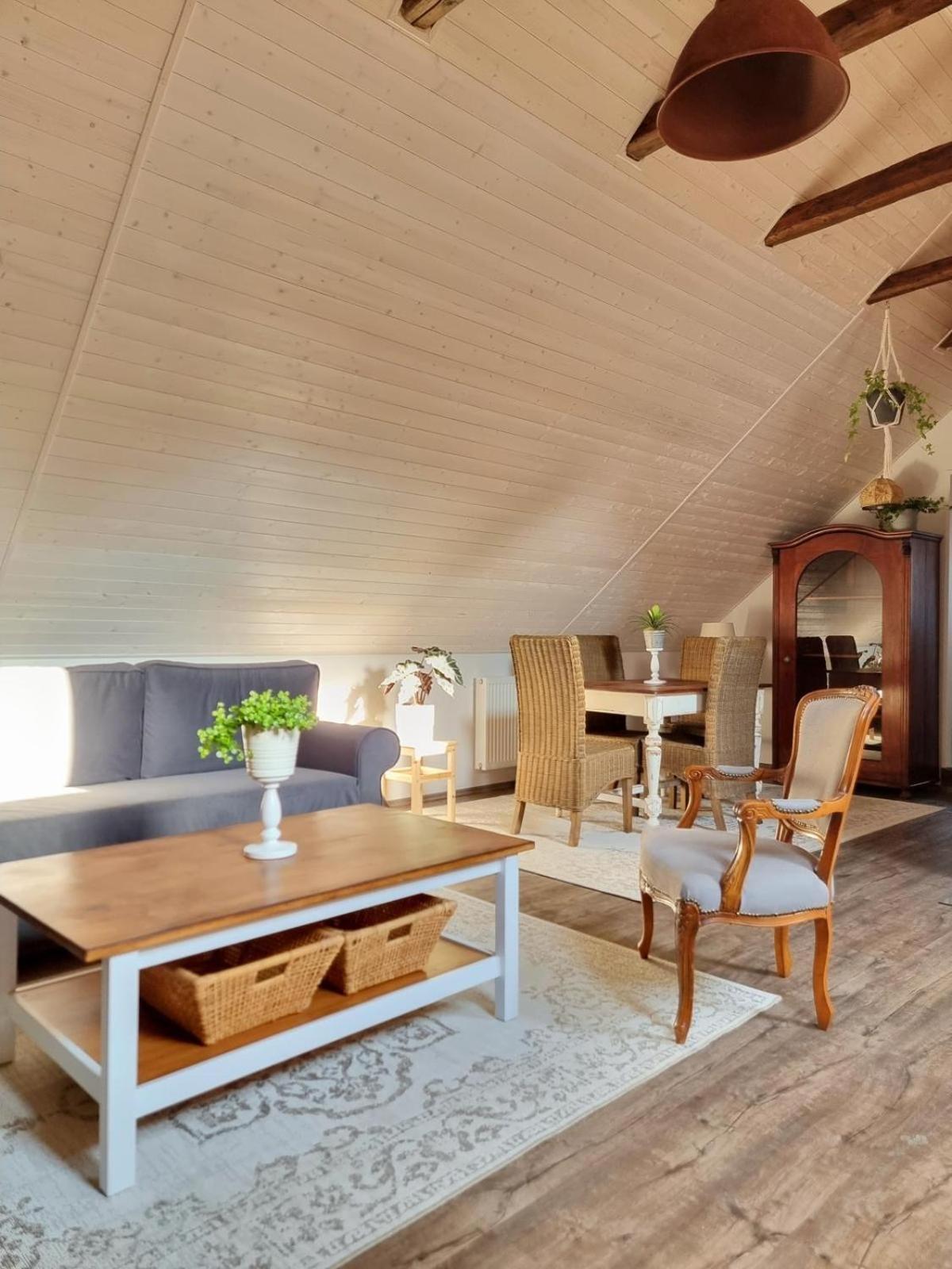 Apartman U Stef Borotice 外观 照片