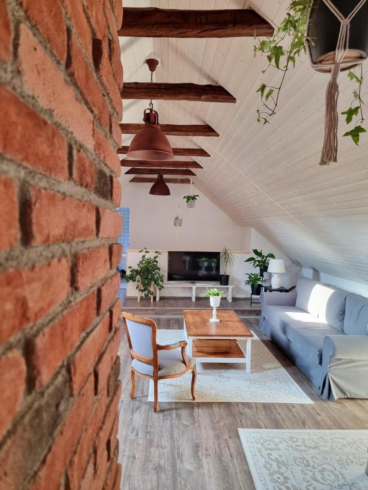 Apartman U Stef Borotice 外观 照片