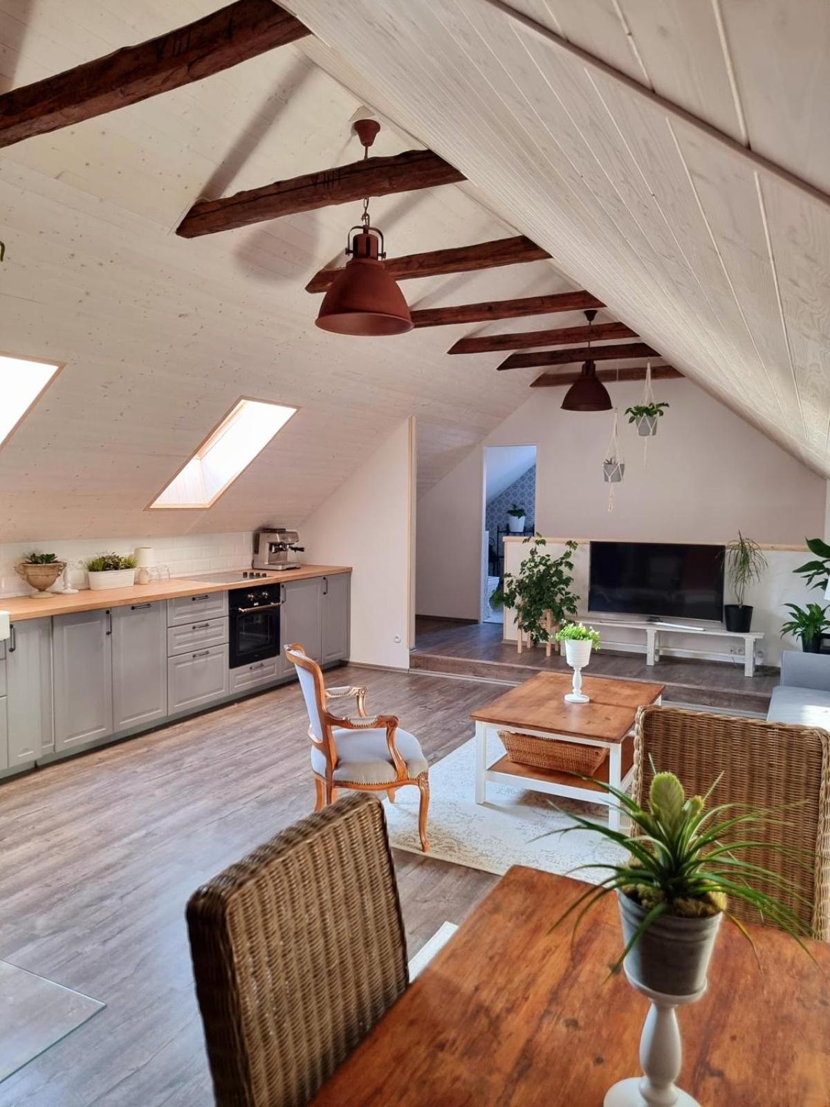 Apartman U Stef Borotice 外观 照片