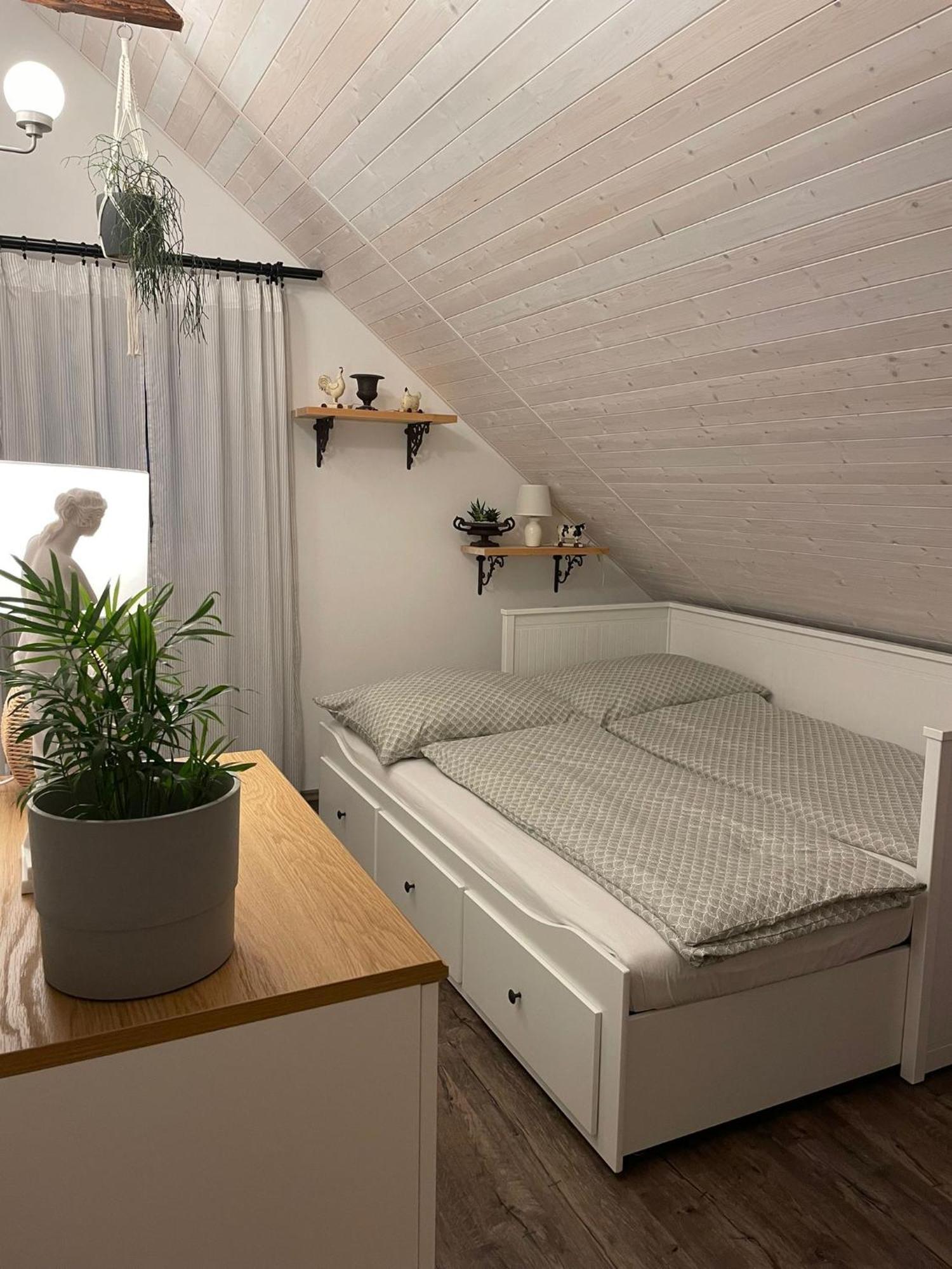 Apartman U Stef Borotice 外观 照片