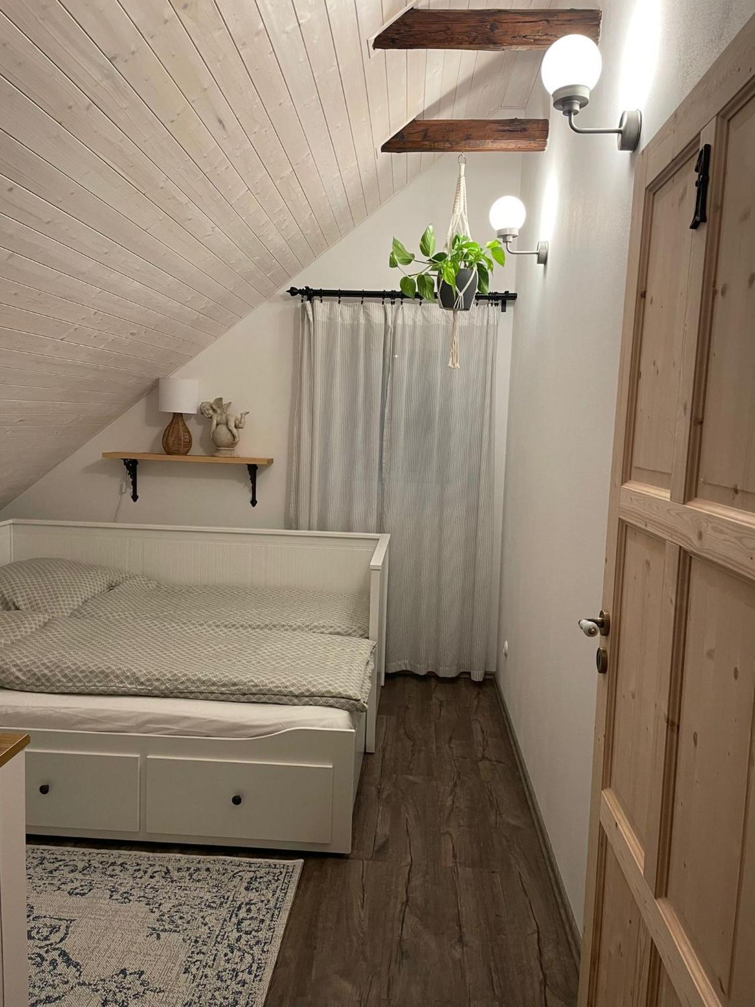 Apartman U Stef Borotice 外观 照片