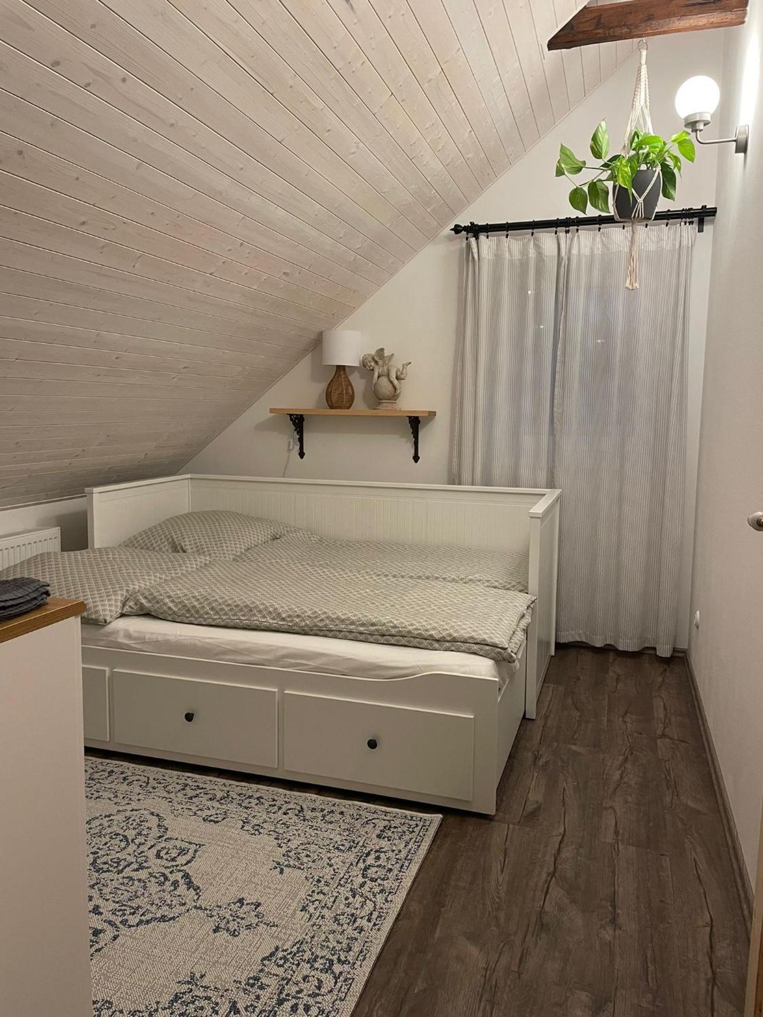 Apartman U Stef Borotice 外观 照片